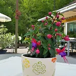 بيت ضيافة Hotel-pension Haus Hubertus