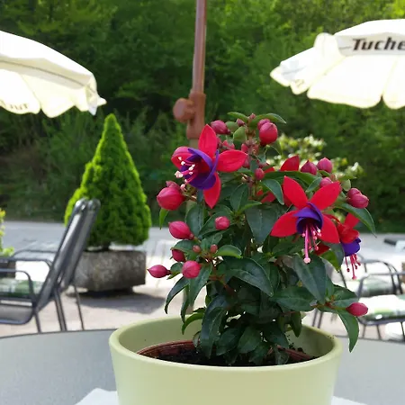 Guest house Hotel-pension Haus Hubertus